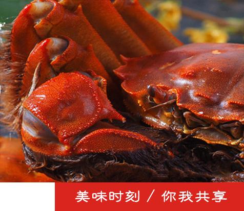 中国尊龙凯时人生就是博z6com品牌网 中国尊龙凯时人生就是博z6com品牌网