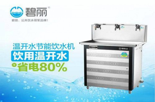 十大饮水机中为什么碧丽饮水机会脱颖而出？