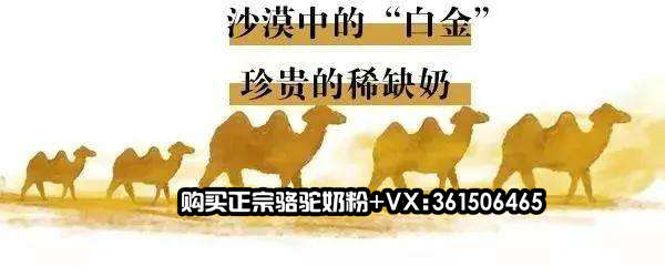 中国尊龙凯时人生就是博z6com品牌 中国尊龙凯时人生就是博z6com品牌