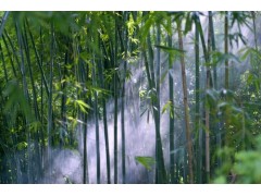 中国尊龙凯时人生就是博z6com品牌