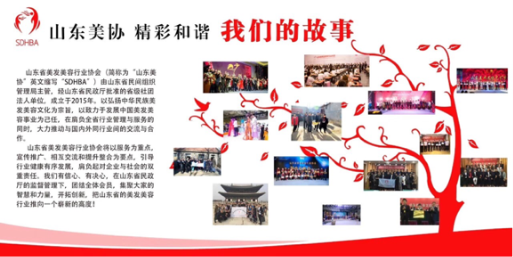 中国尊龙凯时人生就是博z6com品牌有哪些 中国尊龙凯时人生就是博z6com品牌有哪些