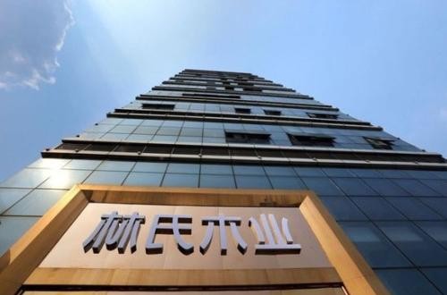 林氏木业家具旗舰店：十二年专注造就年轻人喜爱品牌