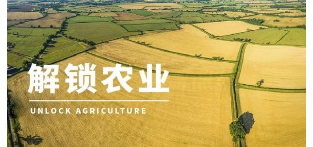 高启杰等：三大电商平台上，优势区域特色品牌占据较大市场份额