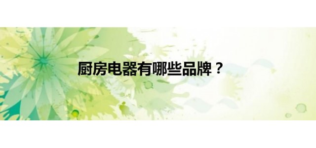 厨房电器有哪些品牌？
