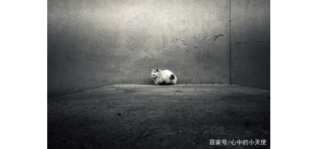 关于现代的「未来自闭症」，专家怎么说？